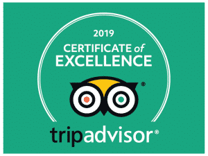 2019 Trip Advisor Certificate of Excellence Bens Bus
