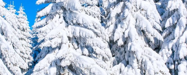 Chamrousse Airport Transfers